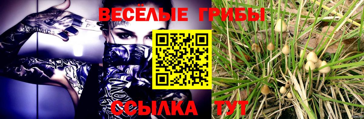 Углич  Псилоцибиновые грибы Psilocybine cubensis  Псилоцибиновые грибы мухоморы  Вход с VPN 